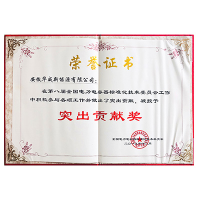 突出貢獻獎